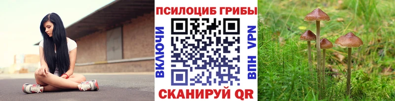 Галлюциногенные грибы Cubensis Купить где Лаишево